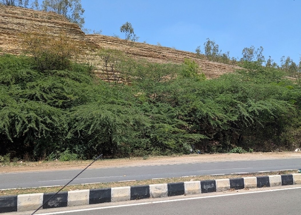 Chainaadu - The layered ridges of spent gold rock tailings